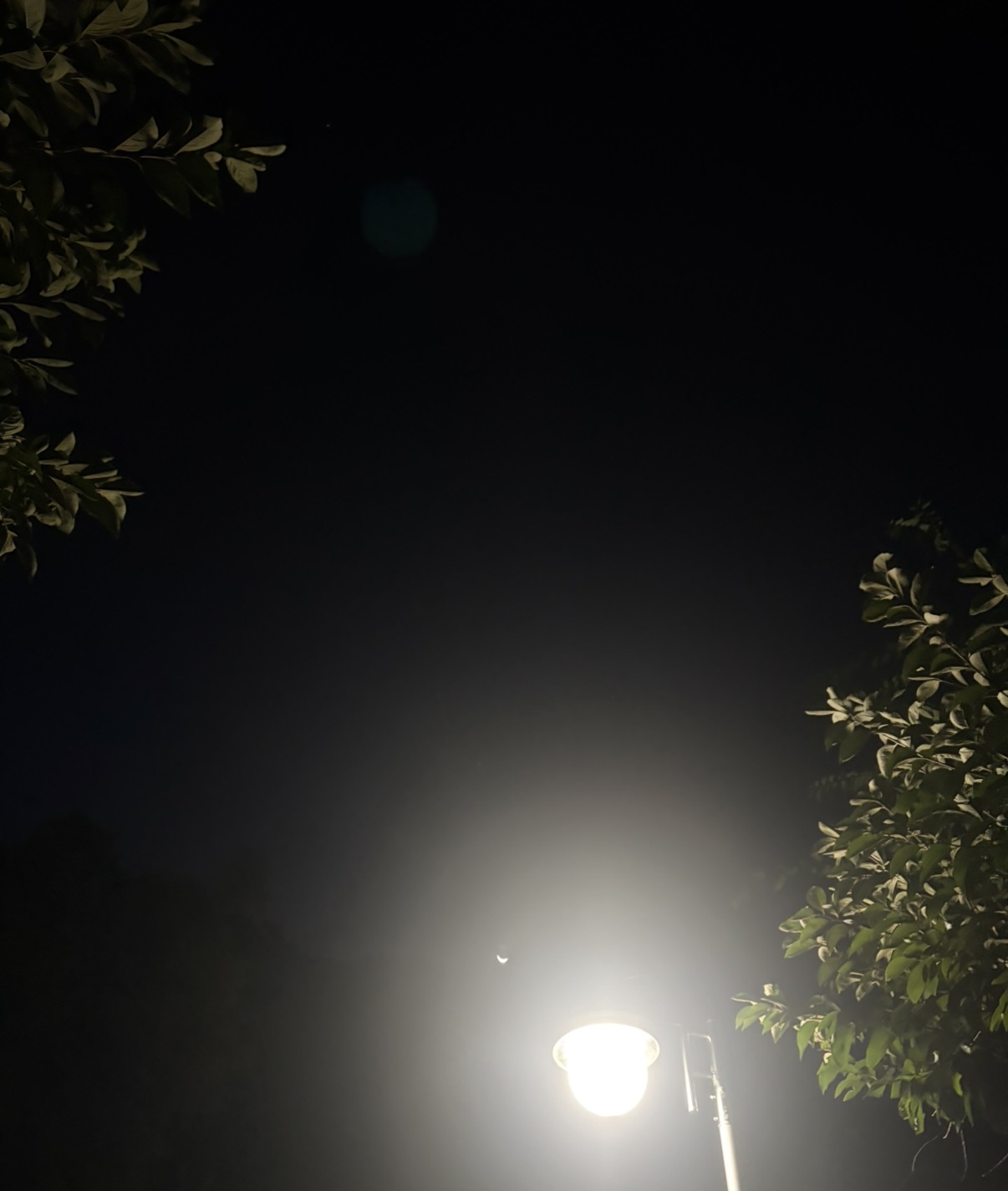 IMG_4307.jpeg